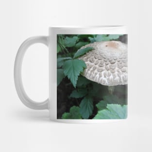 The Forest Mushroom Mug